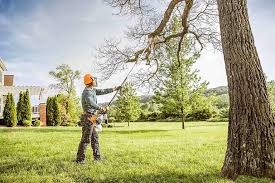 Best Leaf Removal  in Cross Plains, TX
