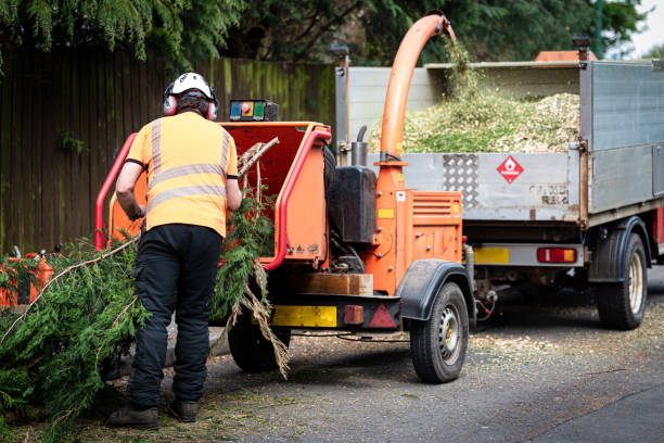 Best Tree Mulching  in Cross Plains, TX